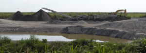 Everglades case study banner